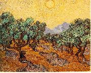 Vincent Van Gogh Olive Trees with Yellow Sky and Sun Spain oil painting artist